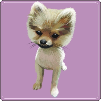 寵物Q版畫 博美犬Q版畫 PNP-002